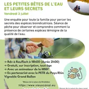 Les petites bêtes de l’eau et leurs secrets