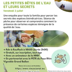 Les petites bêtes de l’eau et leurs secrets