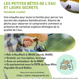 Les petites bêtes de l’eau et leurs secrets
