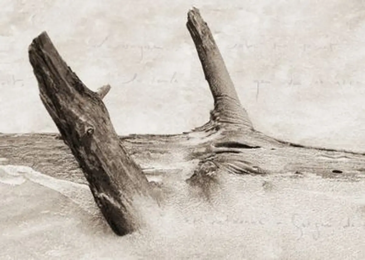 Ces rivages perdus, Rencontre avec l’auteur et photographe Camille Guichard