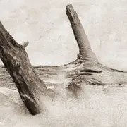 Ces rivages perdus, Rencontre avec l’auteur et photographe Camille Guichard