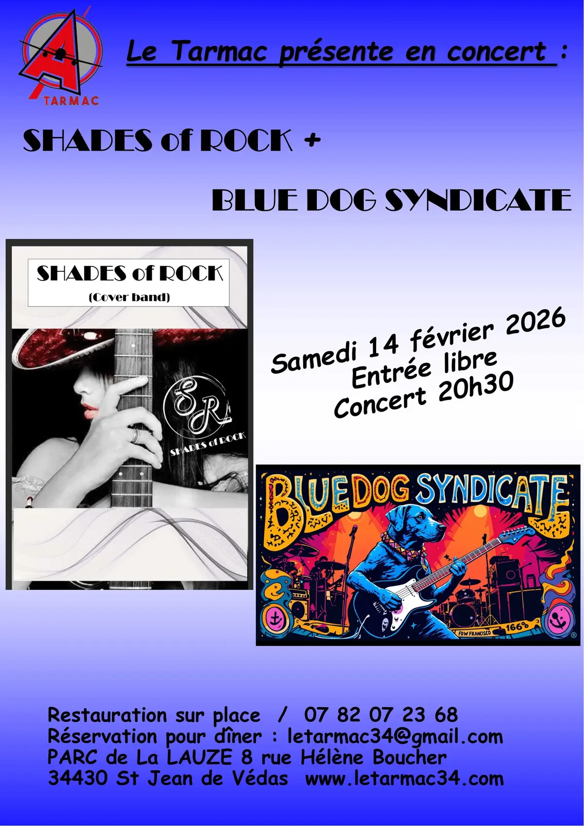 Concerts co plateau Shades of Rock & Blue Dog Syndicate