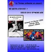Concerts co plateau Shades of Rock & Blue Dog Syndicate