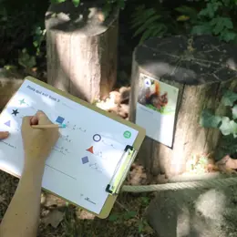 Jeux de piste: Hérisson