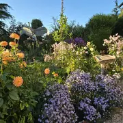 Rendez-vous aux jardins: Jardin d'artiste