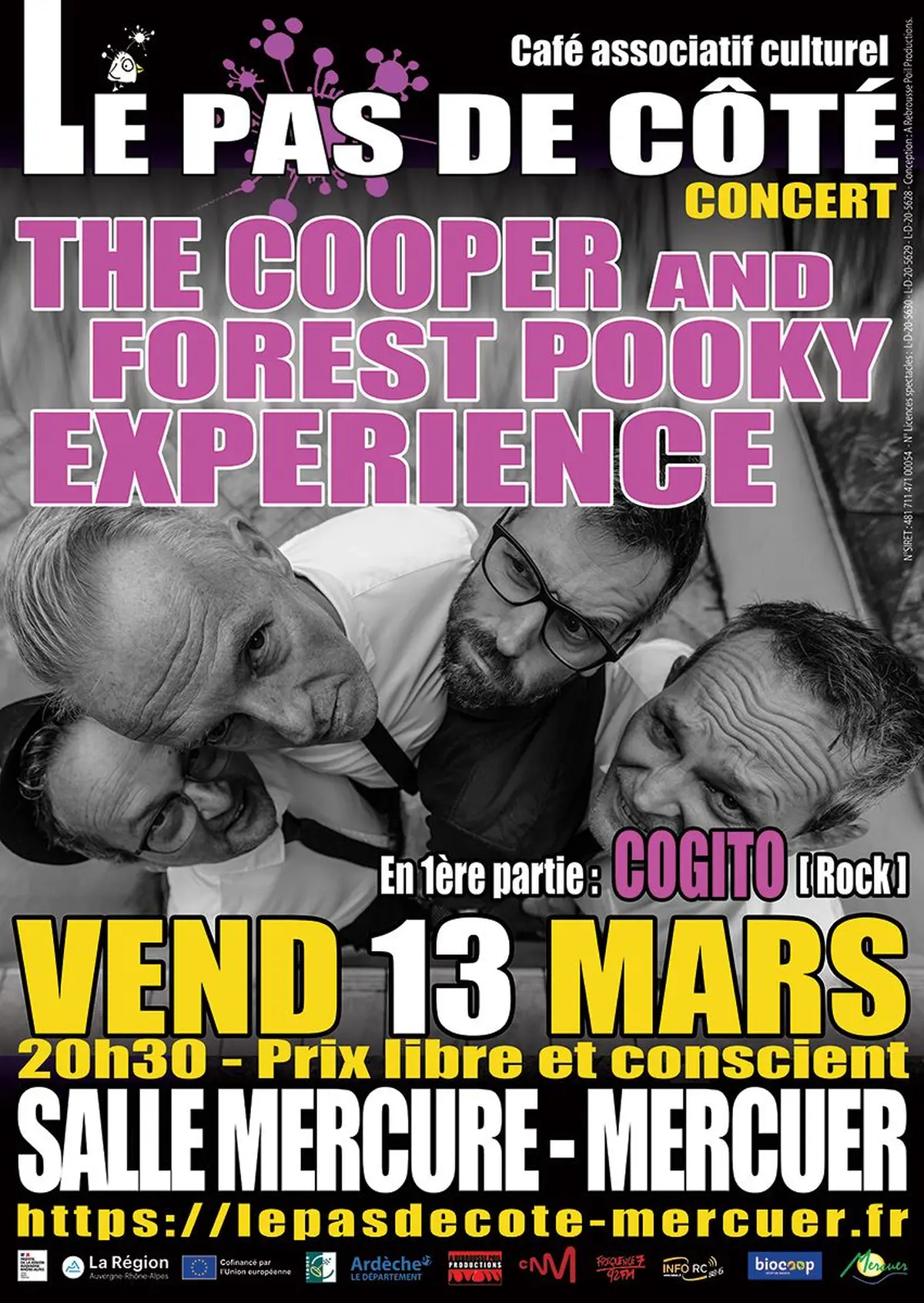 The Cooper and Forest Pooky Experience (pop folk punk)