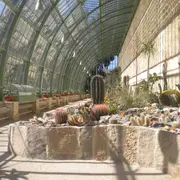 Visite gratuite de la serre Martins du Jardin des Plantes 