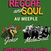 Concert Reggae & Soul au Meeple