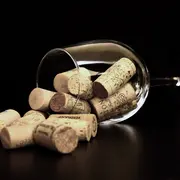 Les vins de Bordeaux