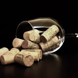 Les vins de Bordeaux