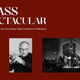 Brass spectacular, Concert d'ouverture du festival