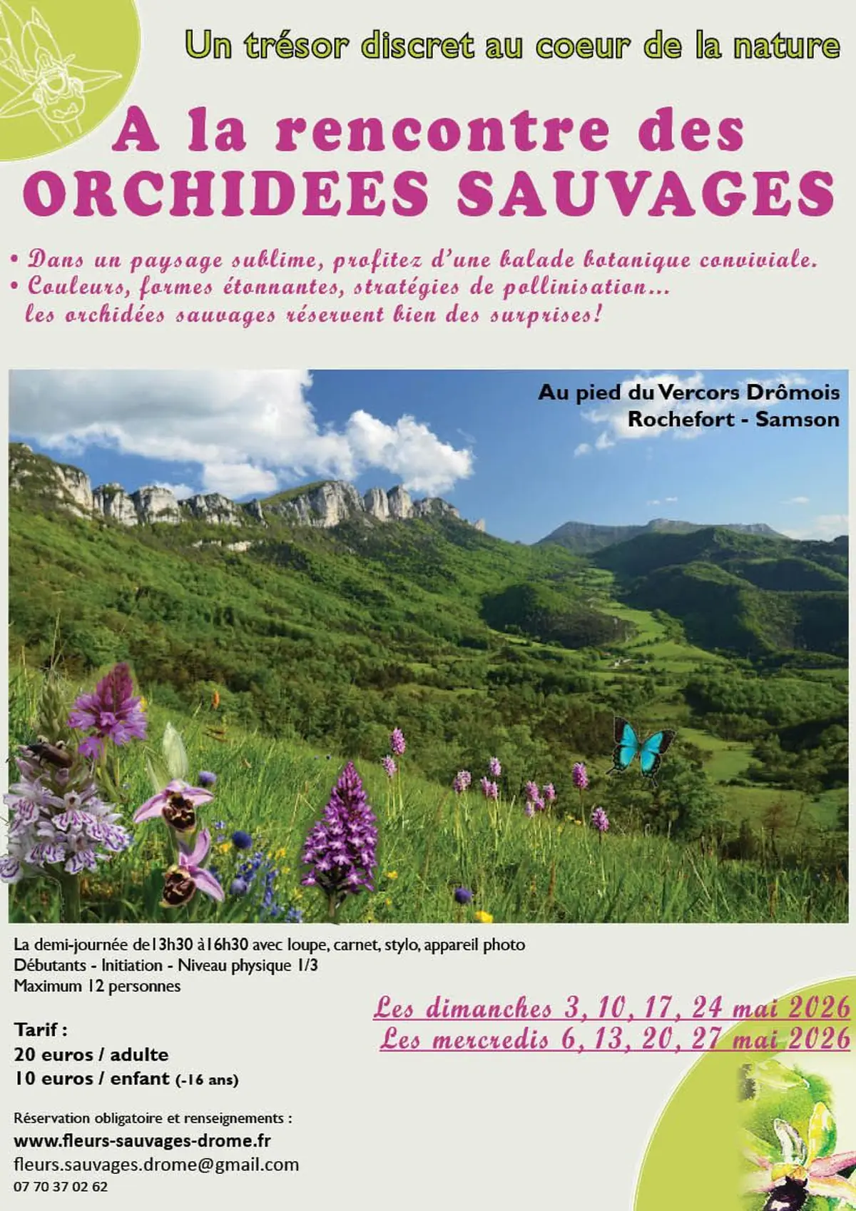 A la rencontre des orchidées sauvages