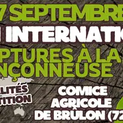 OPEN INTERNATIONAL de Sculptures à la Tronçonneuse