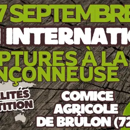 OPEN INTERNATIONAL de Sculptures à la Tronçonneuse