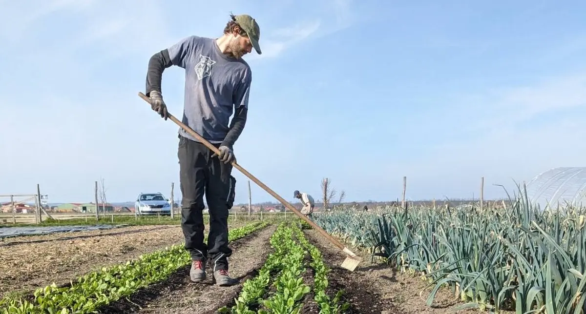 « Sols couverts d’espoir » de Éléonore de Lambertye