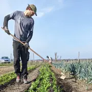 « Sols couverts d’espoir » de Éléonore de Lambertye