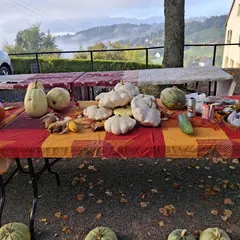 Préparer ses cultures d'hiver