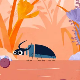 Film 2D : Les super-pouvoirs du vivant