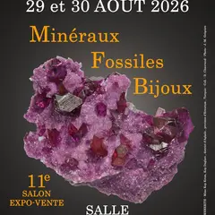 11e SALON Minéraux Fossiles Bijoux d'ALBI (Tarn)