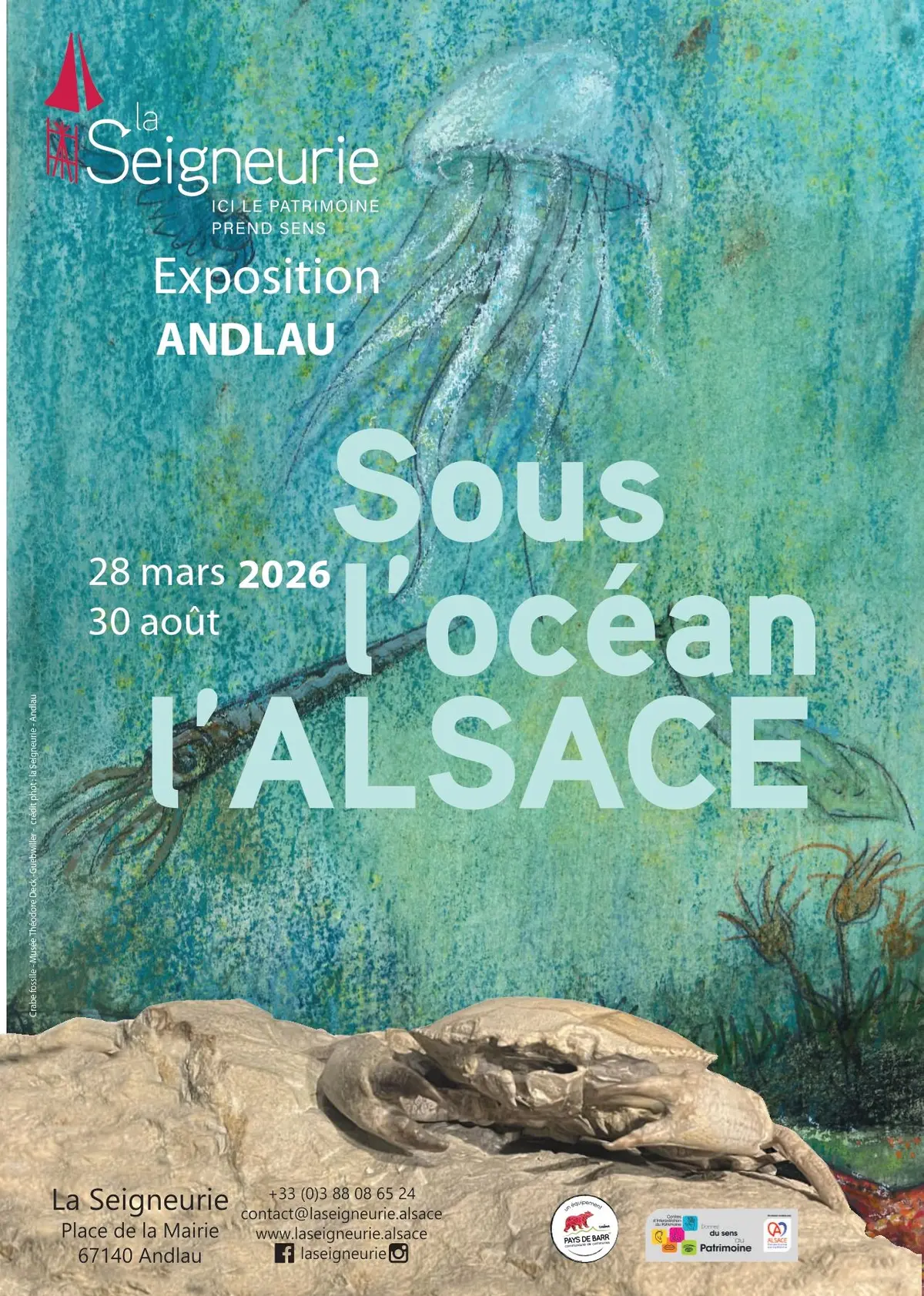 Visite guidée de l'exposition temporaire Sous l'océan, l'Alsace