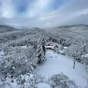 Jour de l'An au cœur de la forêt 