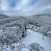 Jour de l'An au cœur de la forêt  &copy; Domaine du HIRTZ