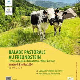 Balade pastorale : la balade du Freundstein