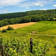 Balade “Les mains qui nous nourrissent,agriculture et alimentation sur le GR169