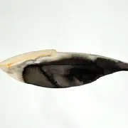 Sorti de La Nuit : Patricia Erbelding