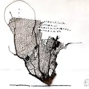 Envie de bouger à Nîmes ce week-end (7-9 novembre) ? Voici 2 idées de sorties