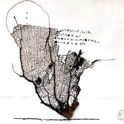 Nîmes : nos 2 idées sorties du week-end