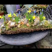 Atelier floral adultes