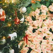 Atelier bricolage de Noël : Composition végétale de Noël