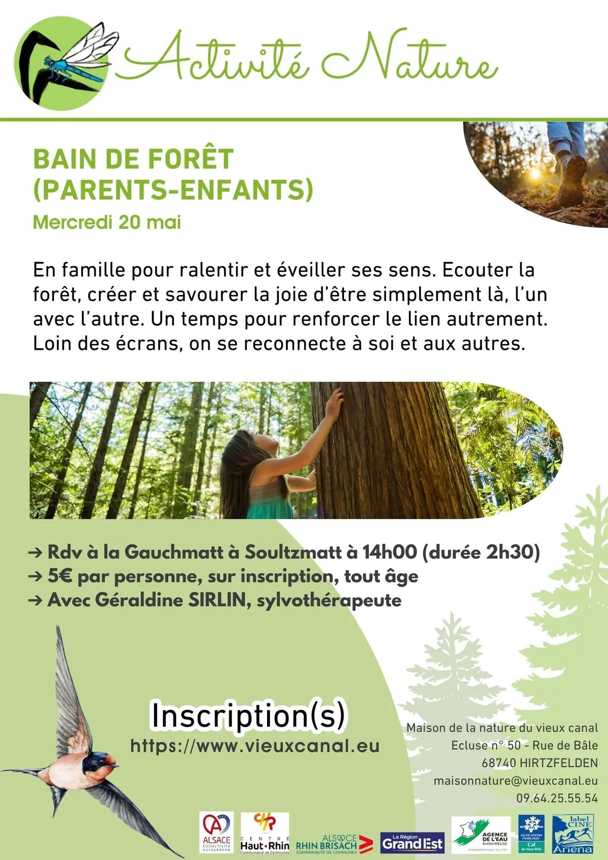 Bain de foret (parents-enfants)