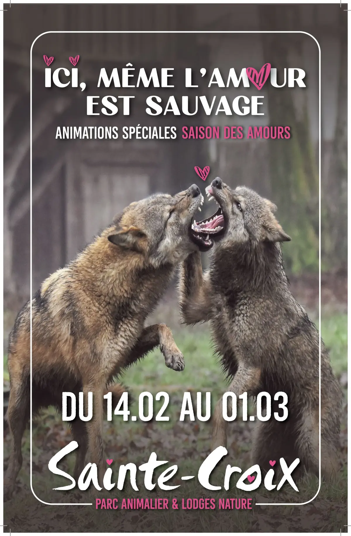 L'amour est dans le Parc 