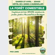 Conférence sur la Forêt Comestible avec Loïc Stocky 