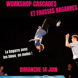 Workshop Cascades et fausses bagarres 