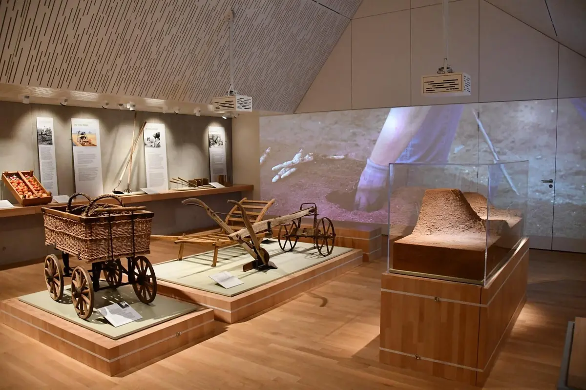 Visite guidée du musée de l'asperge