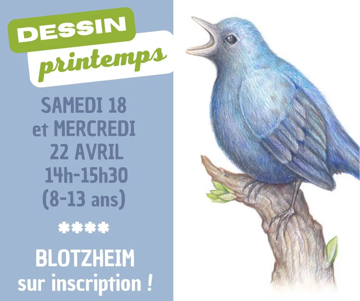 Atelier dessin vacances 8-13 ans