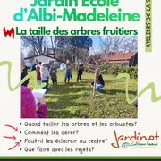 Animation – Taille des arbres et arbustes : les bons gestes au bon moment