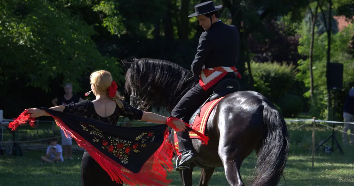 Spectacle Equestre EquiDanse à Sarreguemines