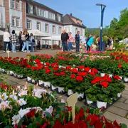 Fête de l'écotourisme et marché aux fleurs