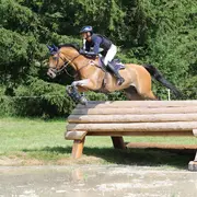 Concours complet INTERNATIONAL