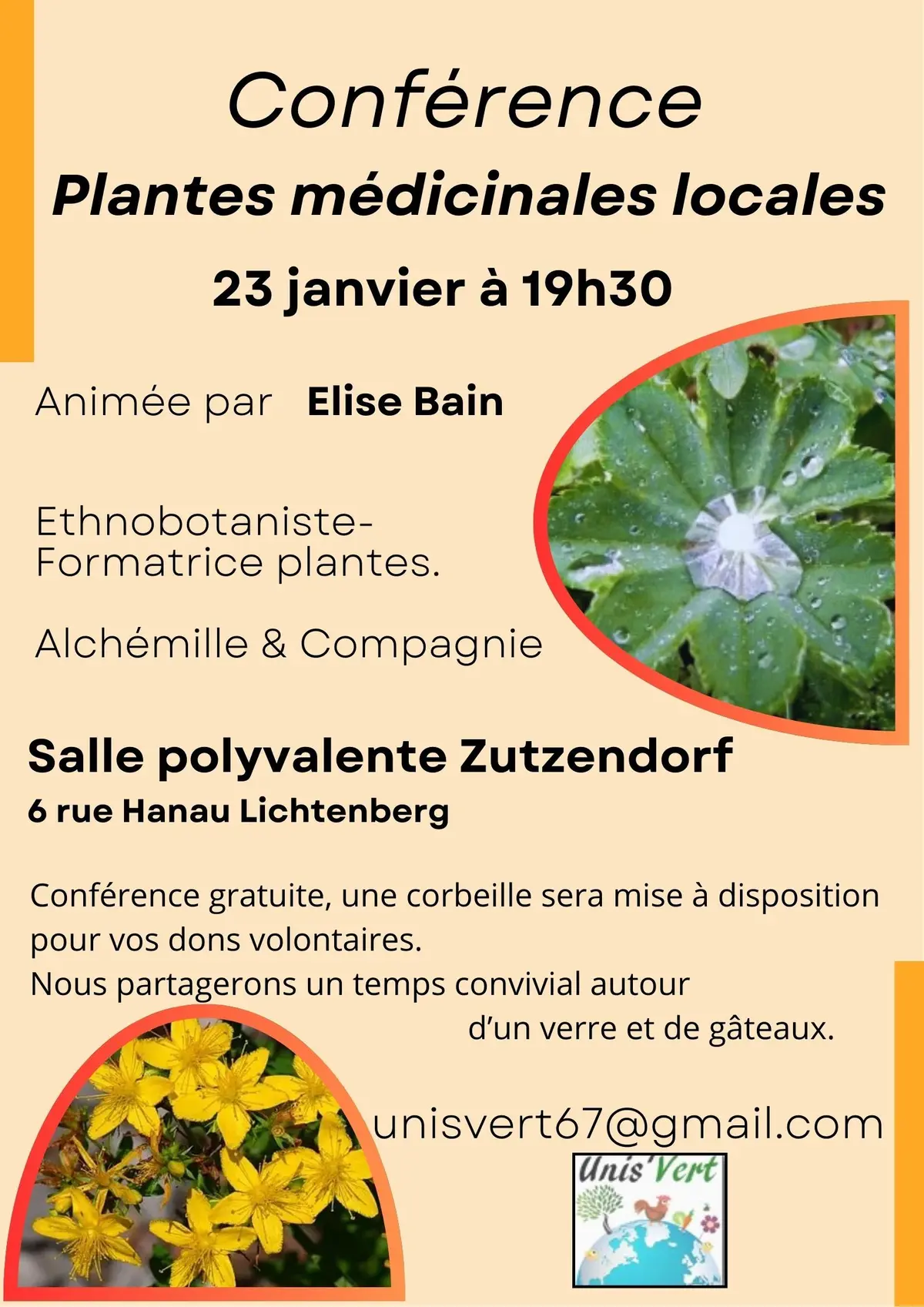 Plantes médicinales locales