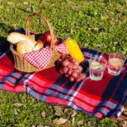 Pique-nique printanier