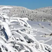 Réveillon de la Saint Sylvestre 2025-2026 au Markstein - Auberge du Steinlebach