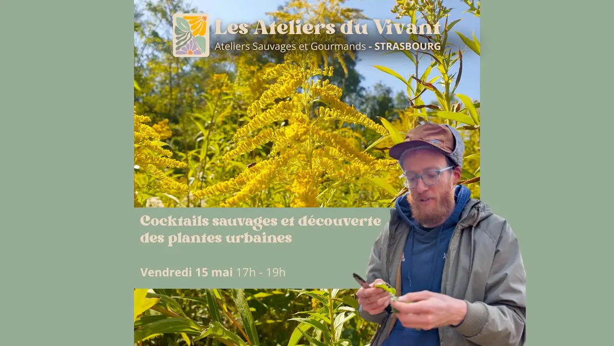 Atelier Cocktails sauvages et découverte des plantes urbaines à La Grenze