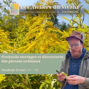 Atelier Cocktails sauvages et découverte des plantes urbaines à La Grenze