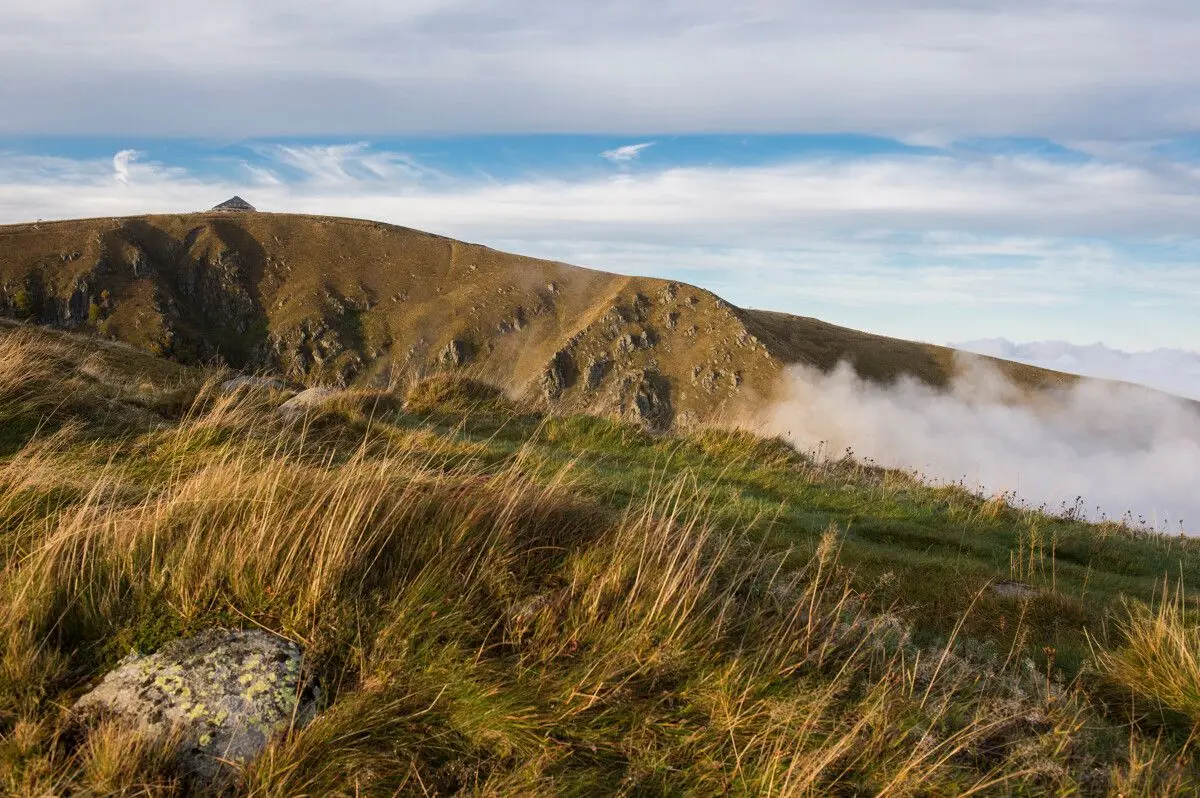 Plantes et espaces protégés du Massif du Hohneck