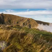 Plantes et espaces protégés du Massif du Hohneck